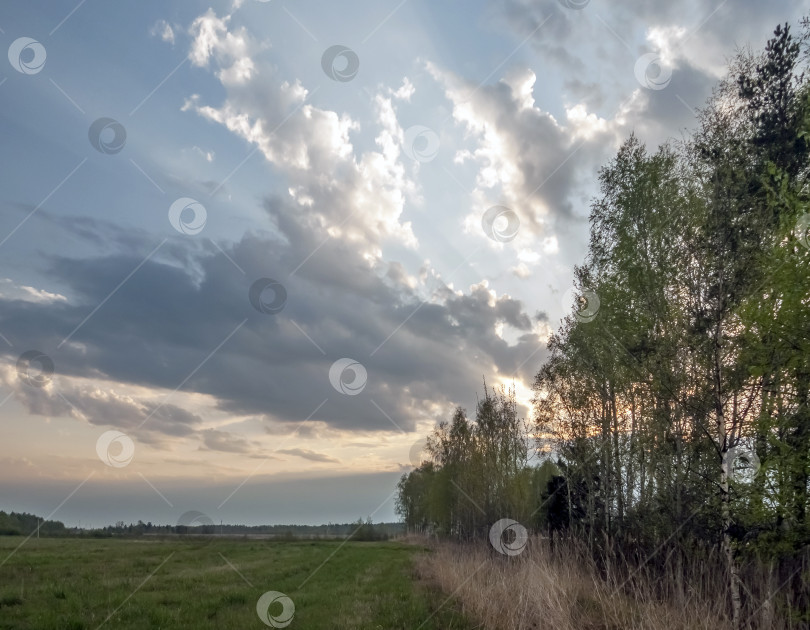 Скачать Облака в небе фотосток Ozero