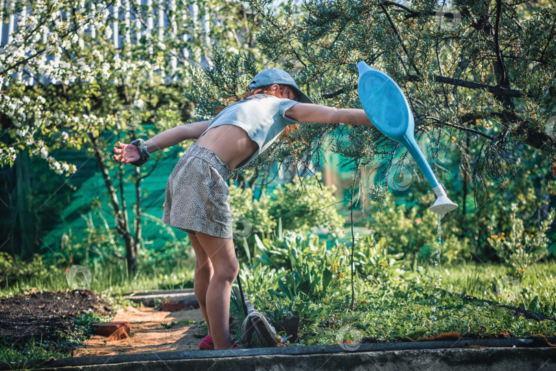 Скачать девушка поливает цветущее дерево из лейки в саду. фотосток Ozero