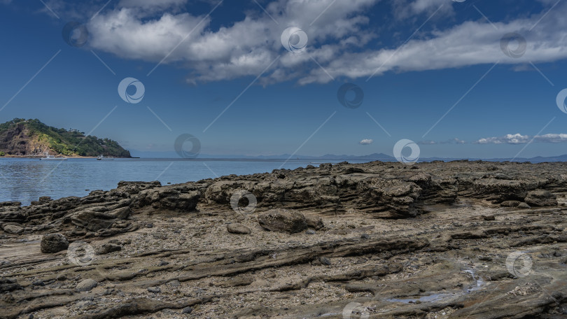 Скачать Морское дно обнажилось во время отлива. На слоистых камнях видны прикрепившиеся моллюски. фотосток Ozero