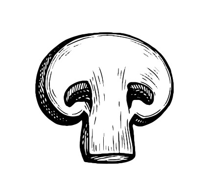 [object Object] undefined