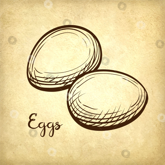 Скачать Векторная иллюстрация яиц фотосток Ozero