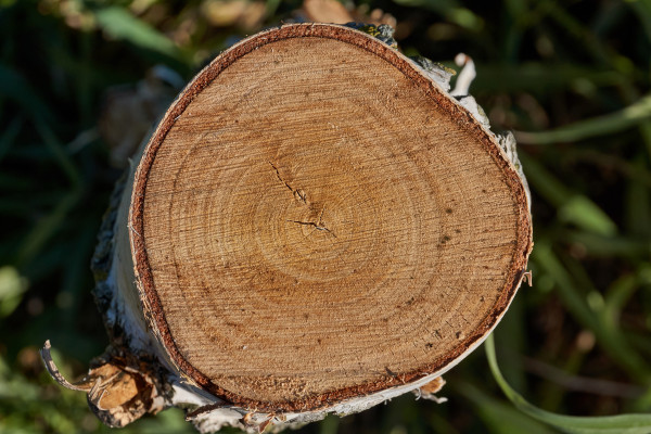 [object Object] undefined