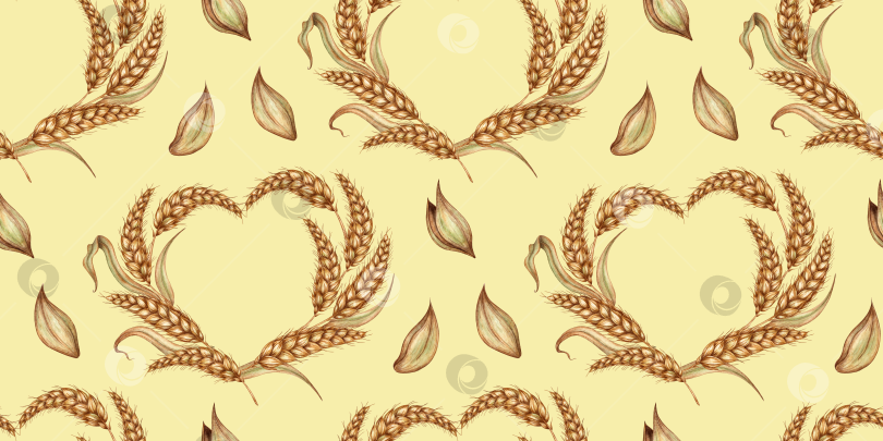 Скачать Пшеничные колосья в форме сердца на желтом акварельном фоне фотосток Ozero
