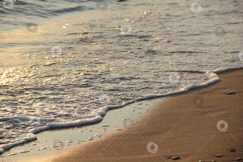 Скачать Волна окутывает пляжный песок под закатным солнцем фотосток Ozero