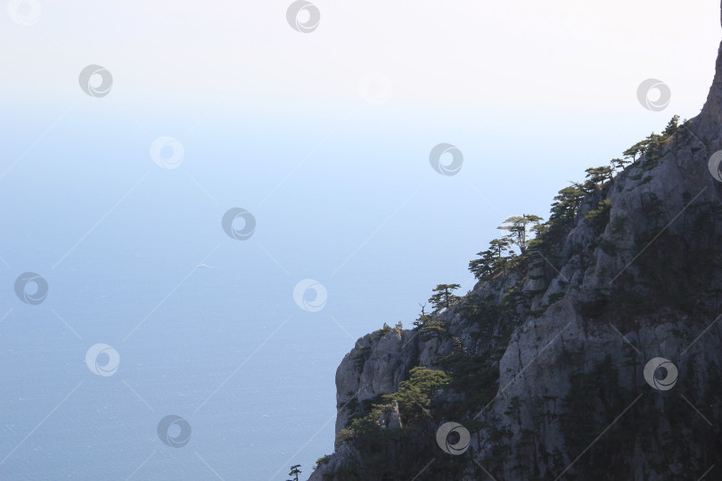 Скачать Скала ай-петри над черным морем фотосток Ozero