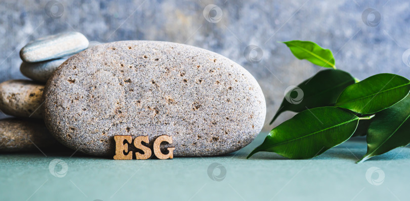 Скачать Концепция ESG - деревянные буквы рядом с камнем и ветви с листьями на зеленом веб-баннере фотосток Ozero