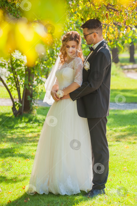 Скачать Портрет жениха и невесты в полный рост, изображающий свадебную пару фотосток Ozero