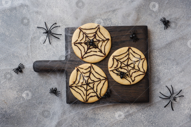 Скачать Домашнее печенье на Хэллоуин. Печенье с шоколадной паутиной и пауками. фотосток Ozero