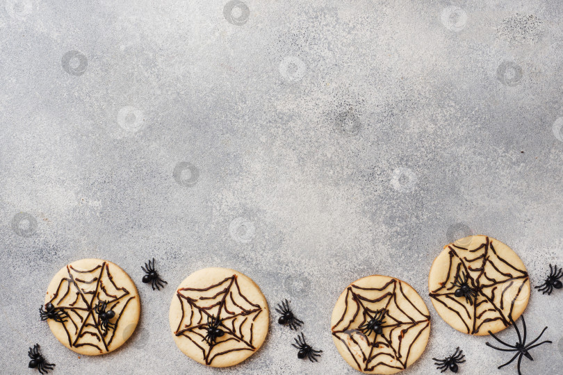 Скачать Домашнее печенье на Хэллоуин. Печенье с шоколадной паутиной и пауками. Скопируйте место. фотосток Ozero
