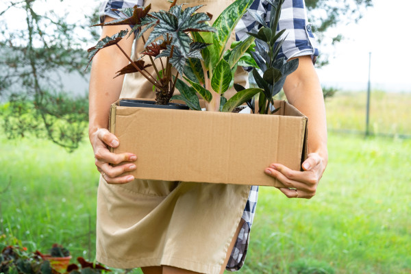 [object Object] undefined