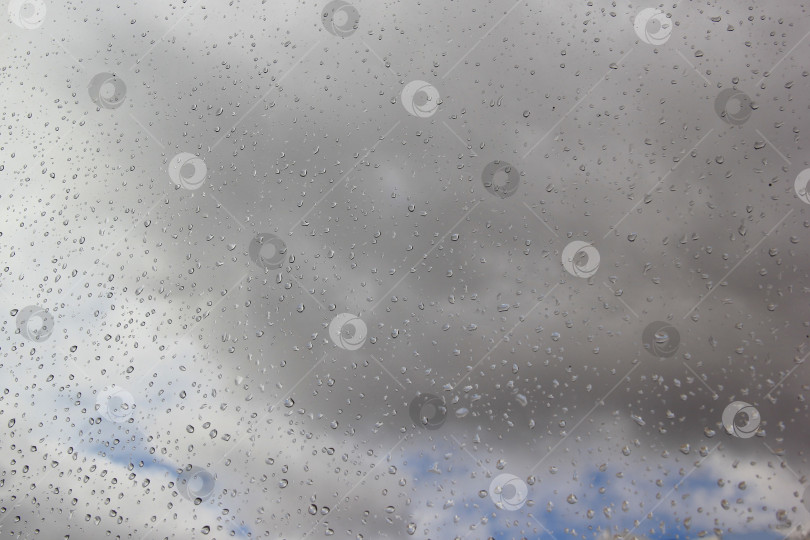 Скачать дождевые капли на окне фотосток Ozero