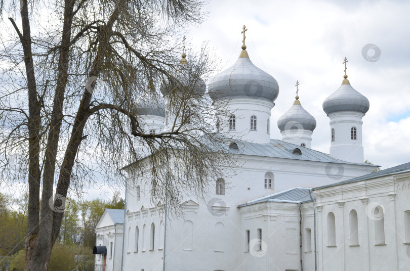 Скачать Великий Новгород, Россия - 05.12.2024: Спасский собор (Свято-Успенский собор) русского монарха в Великом Новгороде – правительственном дворце XIX века фотосток Ozero