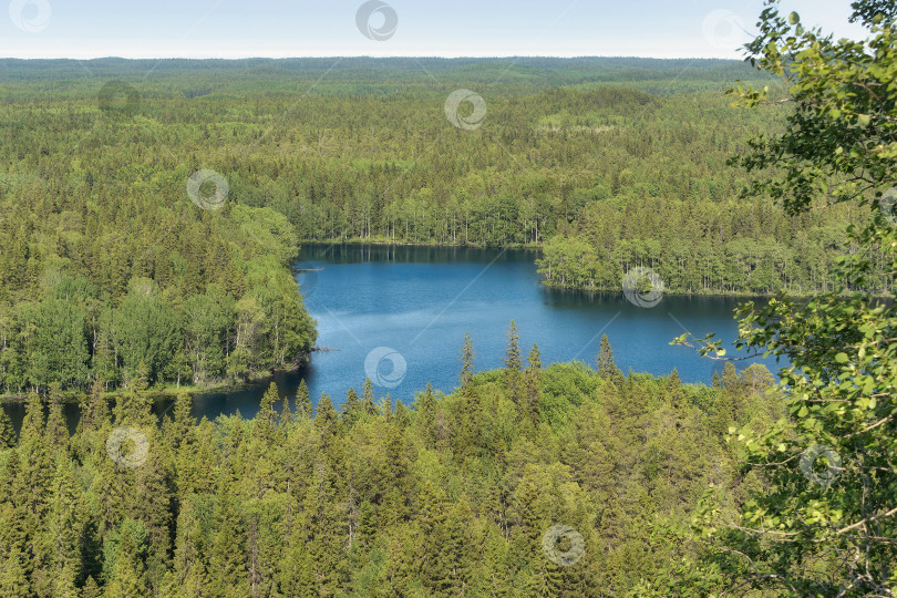 Скачать Вид сверху на лесное озеро в окружении леса. фотосток Ozero