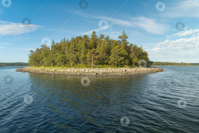 Скачать Маленький лесистый остров в Белом море. фотосток Ozero