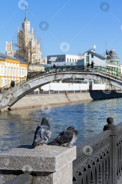 Скачать Голуби на фоне дома на Котельнической набережной, Москва. фотосток Ozero