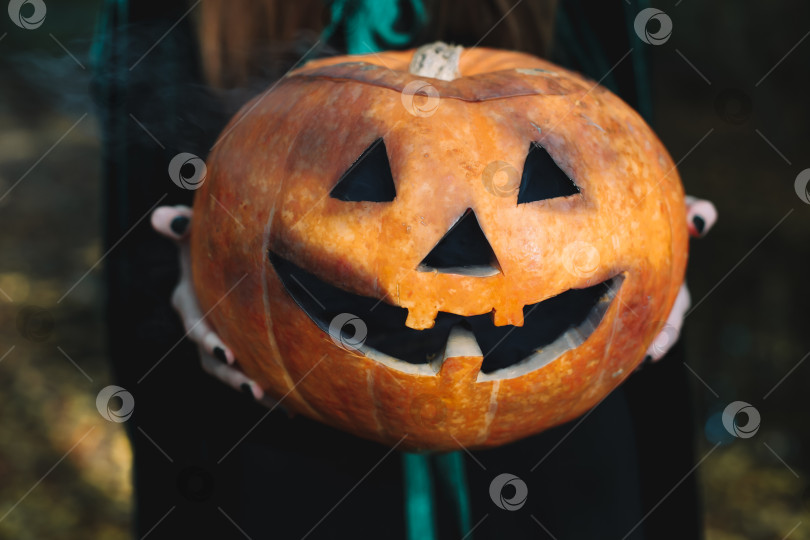 Скачать тыквенный джек на Хэллоуин в руках девушки-ведьмы в зеленом плаще с черными ногтями фотосток Ozero