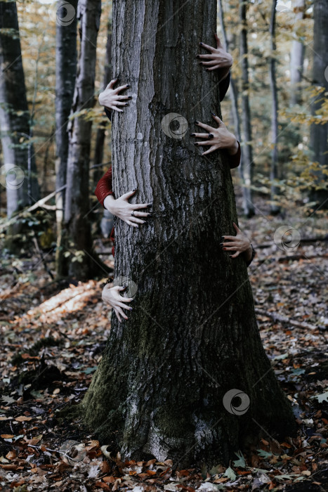 Скачать праздник Хэллоуин, шабаш ведьм, елка в лесу. которые обнимают руки ведьм, маникюр на Хэллоуин фотосток Ozero