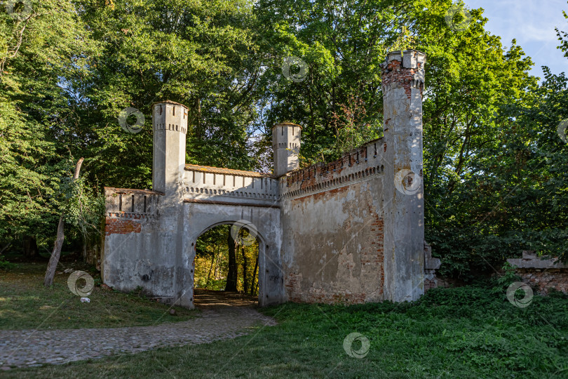 Скачать руины старинного замка Гердуэн, поселок Железнодорожный, Калининградская область, Россия фотосток Ozero