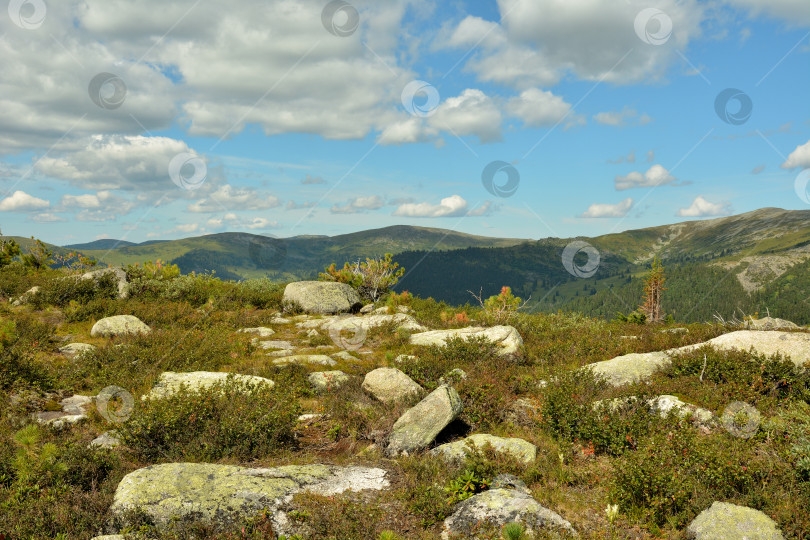 Скачать Большие плоские скалы, окруженные кустами и травой, разбросаны по вершине горы под облачным летним небом. фотосток Ozero