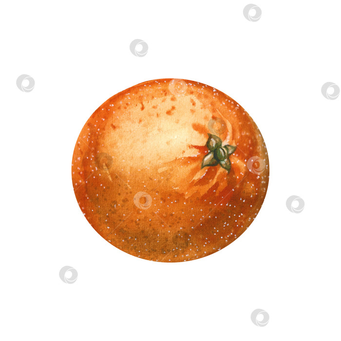 Скачать Оранжевая акварель на изолированном фоне. Иллюстрация, выполненная от руки фотосток Ozero
