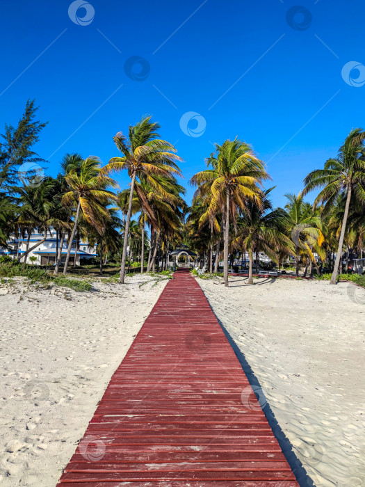 Скачать Проход от песчаного пляжа к отелю и пальмы вдоль деревянного настила. Фотография тропических морских пейзажей в вертикальном формате для туризма, обоев, фона, социальных сетей. Куба, остров Кайо-Коко фотосток Ozero
