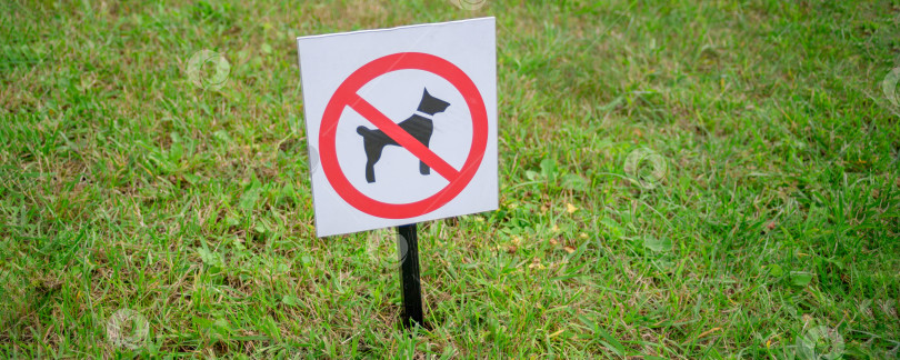 Скачать яркая вывеска "собакам запрещено находиться на зеленой лужайке" фотосток Ozero
