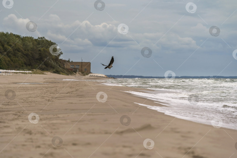 Скачать песчаный осенний пляж, волны на море и облака на заднем плане фотосток Ozero
