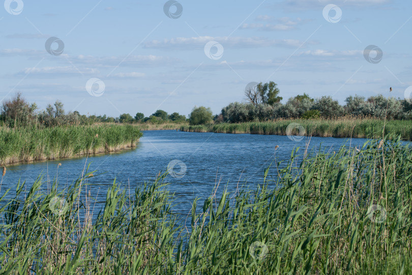 Скачать Пейзаж фотосток Ozero