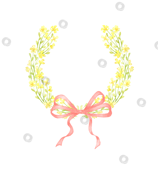 Скачать Цветы желтые маленькие полевые цветы с акварельным бантиком-венком фотосток Ozero