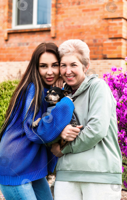 Скачать портрет невестки, обнимающей свекровь и держащей на руках собаку фотосток Ozero