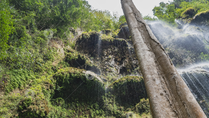 Скачать Живописный тропический водопад. фотосток Ozero