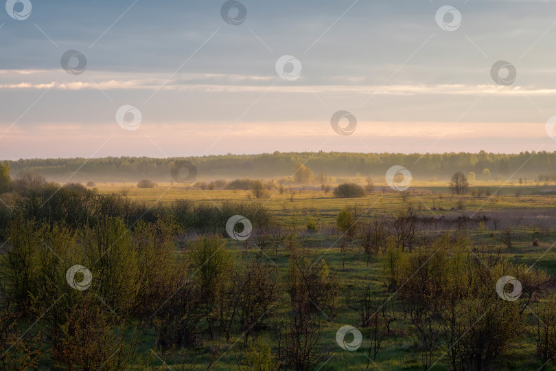 Скачать восход солнца и утренний туман весной над полем с деревьями фотосток Ozero