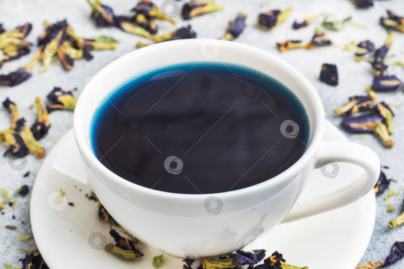 Скачать Тайский голубой чай анчан из бутонов клитории тройчатой в белой чашечке. фотосток Ozero