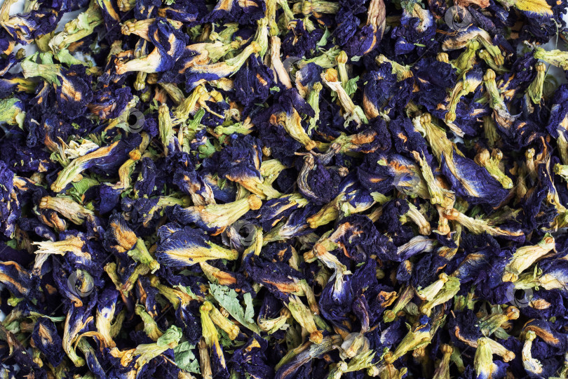 Скачать Сухие цветы тайского голубого чая анчан из бутонов клитории тройчатой. фотосток Ozero