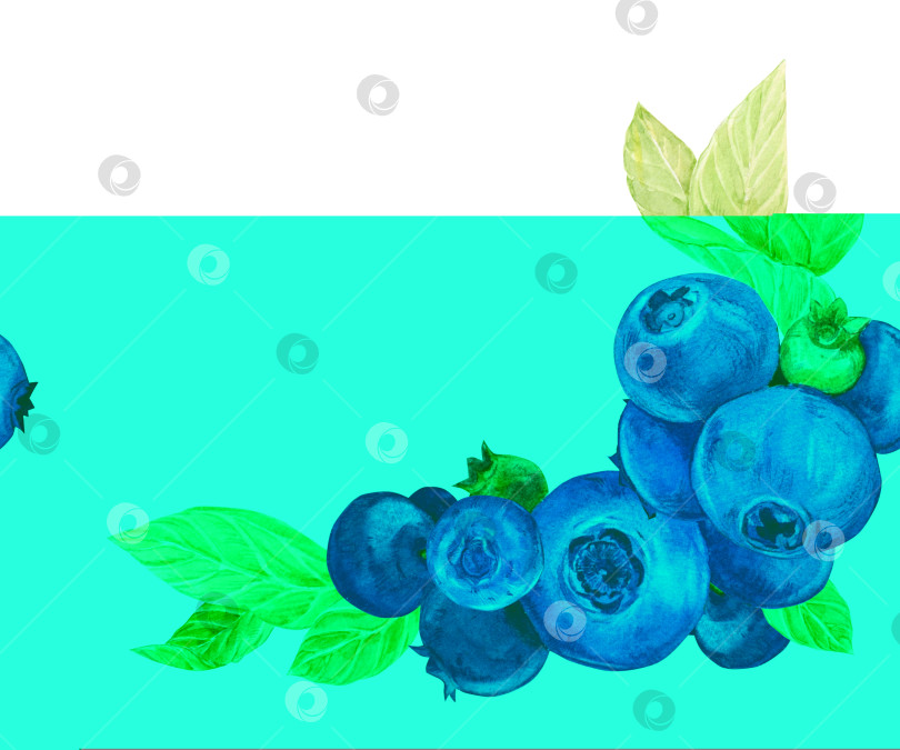Скачать Угловая композиция из голубики. Акварельные синие ягоды, зелень и листья. Веточка садовых ягод, собранных из натуральных продуктов. Иллюстрация для упаковки эко-продуктов, этикетка для черничного варенья фотосток Ozero