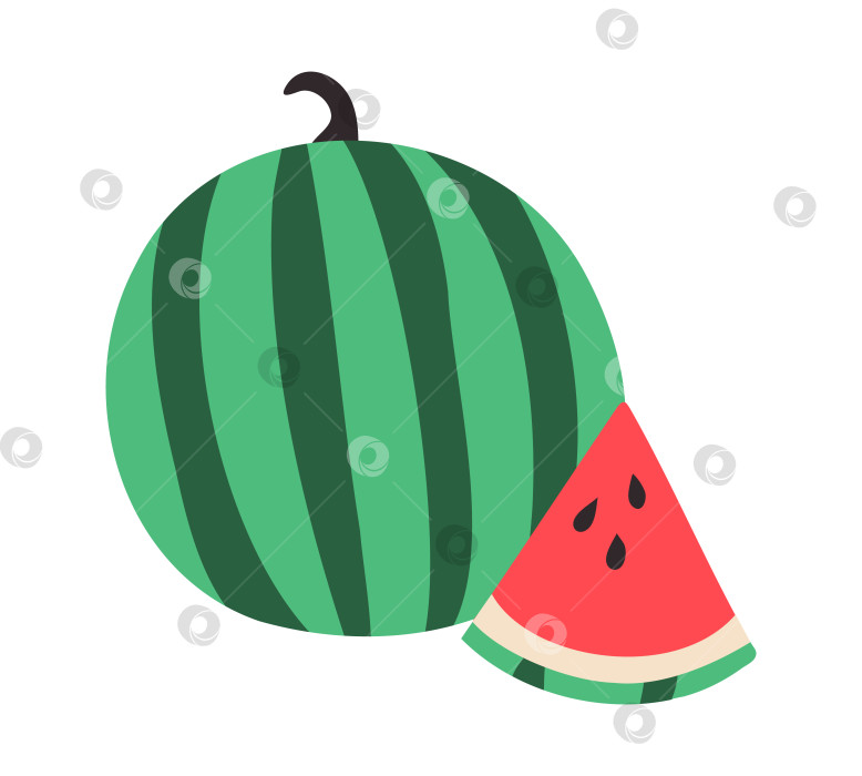 Скачать Целый арбуз и треугольный кусочек. Рисунок летнего красного полосатого фрукта с семенами в стиле каракулей фотосток Ozero