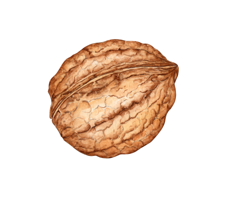 [object Object] undefined