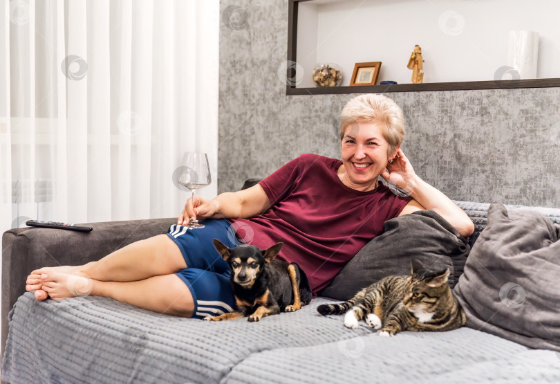 Скачать Зрелая русская женщина улыбается и сидит на диване со своими домашними кошкой и собакой, пьет вино и смотрит в камеру фотосток Ozero