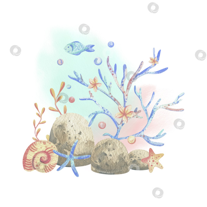 Скачать Морские кораллы, водоросли, ракушки, морские звезды, рыбки, пузырьки. Акварельная иллюстрация, выполненная от руки в коралловых, бирюзовых и голубых тонах. Композиция, выделяющаяся на фоне фотосток Ozero
