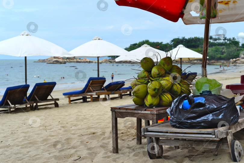 Скачать Кокосы на продажу на пляже Южно-Китайского моря во Вьетнаме в Нячанге фотосток Ozero