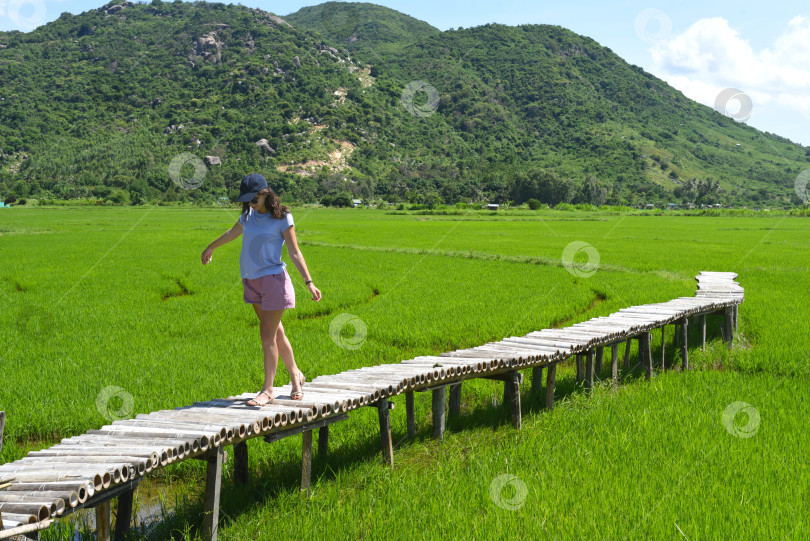 Скачать Молодая женщина, идущая по деревянному причалу на рисовом поле фотосток Ozero