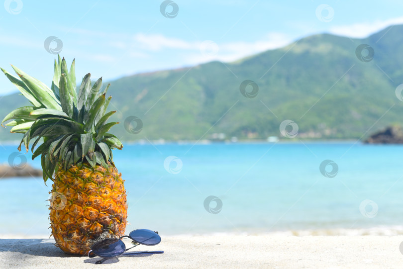 Скачать Спелый ананас в солнцезащитных очках на фоне песчаного пляжа фотосток Ozero