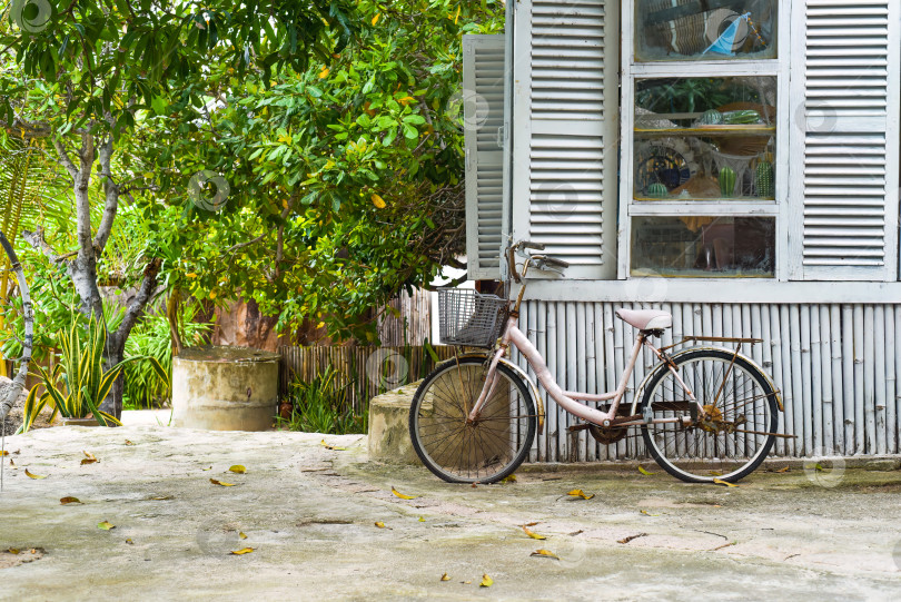 Скачать Старый велосипед, аккуратное деревянное окно летом с местом для копирования фотосток Ozero