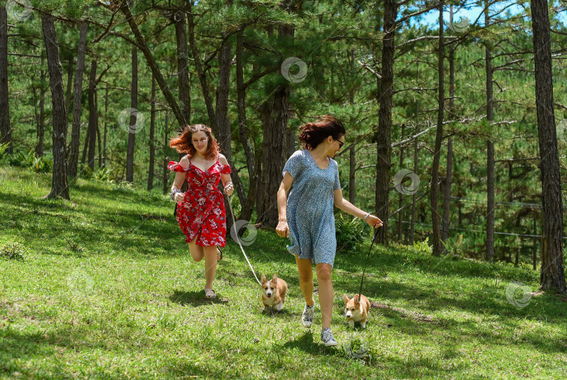 Скачать Мать и ее дочь бегут по лесу со своими собаками породы корги фотосток Ozero