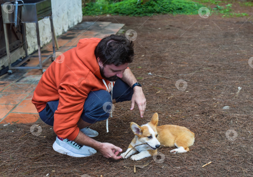 Скачать Молодой бородатый мужчина играет со своей собакой корги утром в лесу фотосток Ozero
