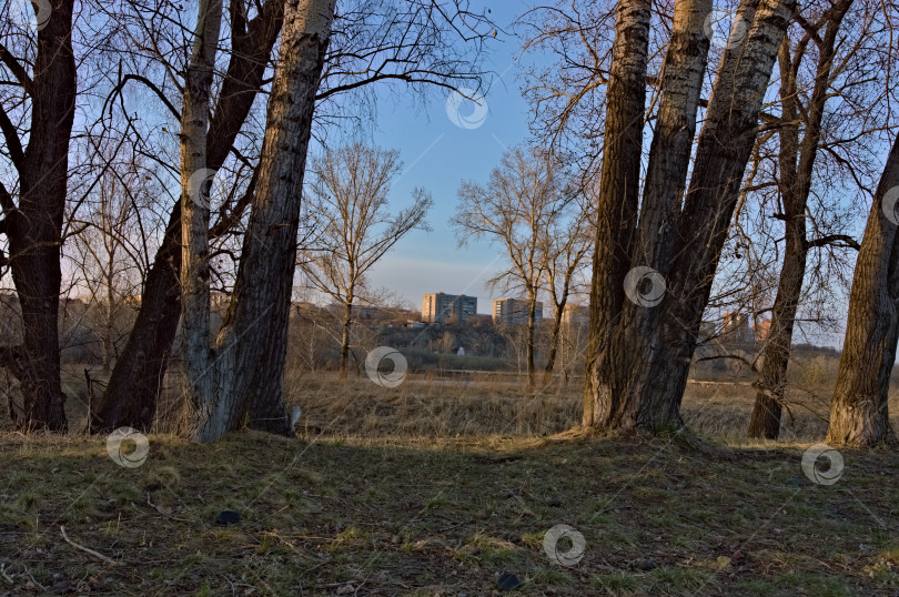 Скачать Вечерний вид на дома фотосток Ozero