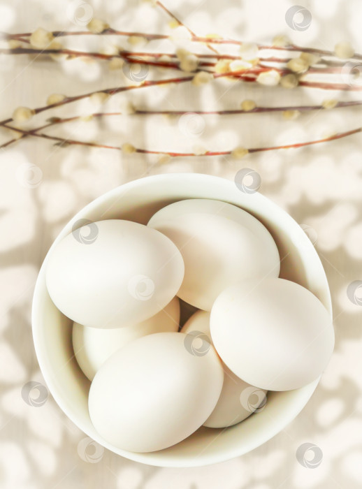 Скачать Белые свежие яйца в белой миске на белом фоне с солнечными бликами и веточками ивы фотосток Ozero