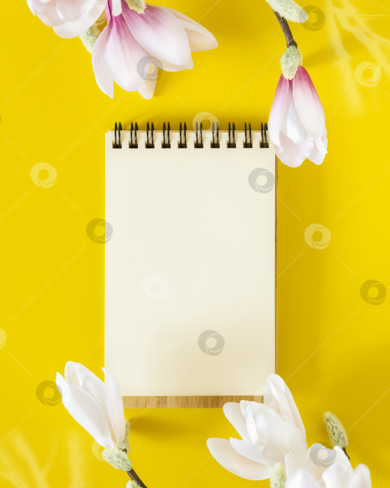 Скачать Открытая тетрадь с белым чистым листом бумаги и ветками цветущей магнолии фотосток Ozero