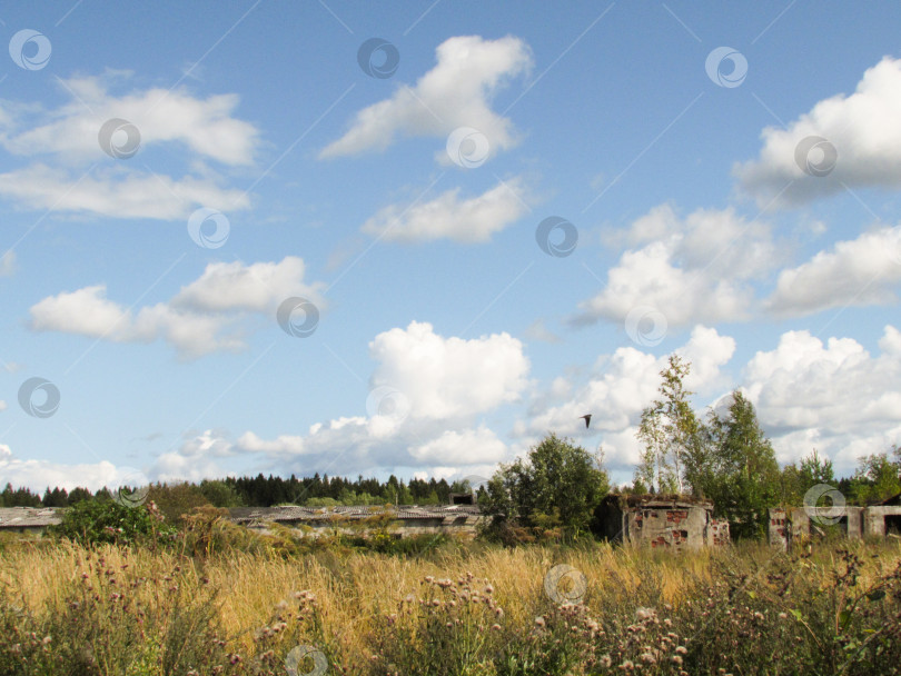 Скачать Возвращение природы фотосток Ozero