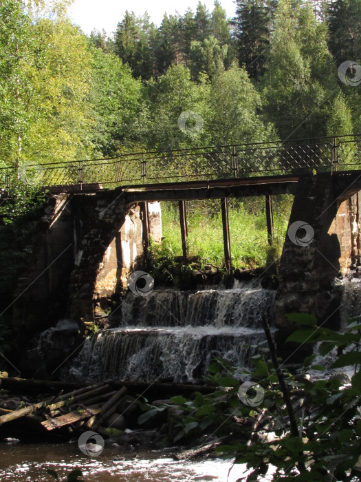Скачать Мост через вечность фотосток Ozero
